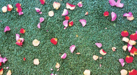 Flower petals on wedding aisle