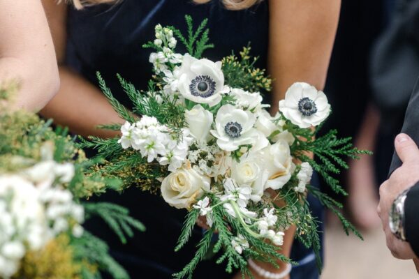 489643037_1404797354018385_9011205735572969161_n